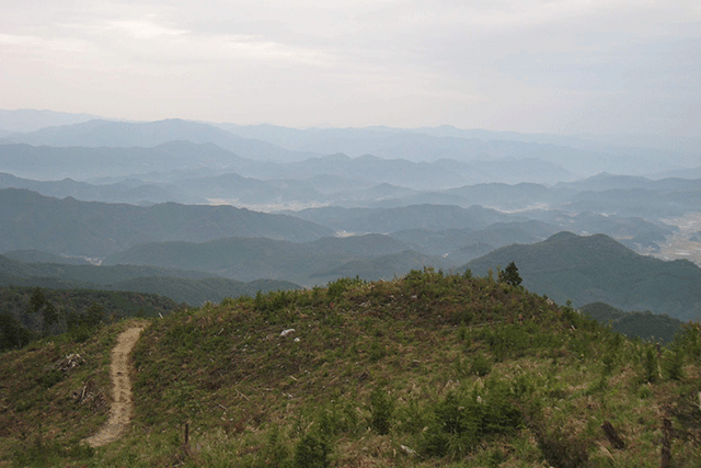 環境への取り組み