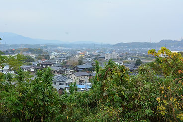 地域に根ざした安心の医療提供