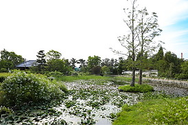 地域の頼れるかかりつけ医