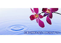 お墓の移転も安心してお任せ下さい。
