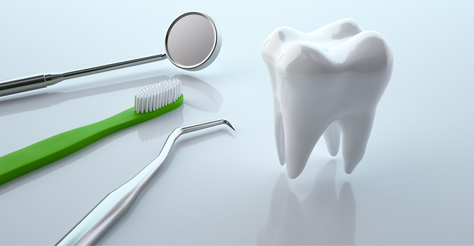歯の模型とミラー