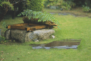 日本庭園