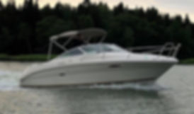 Yamaha-VX-Deluxe-Action06.jpg