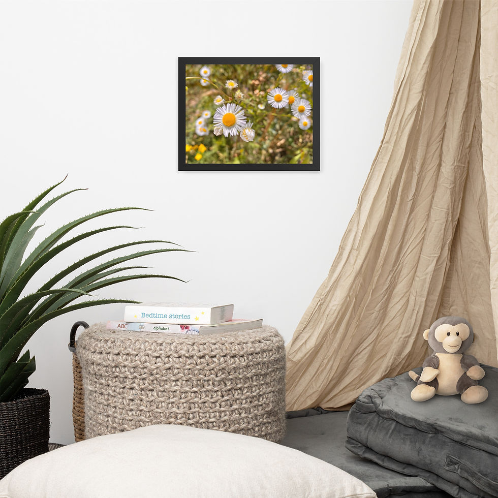 Thumbnail: Framed photo paper poster