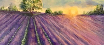 Lavender_01.JPG