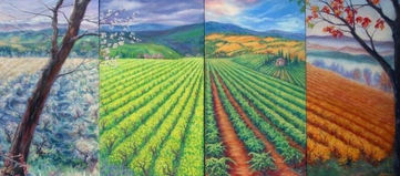 Vineyard_02.JPG