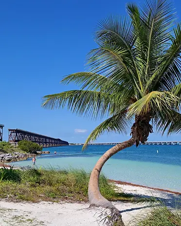 Bahia-Honda-State-Park-Guide.webp