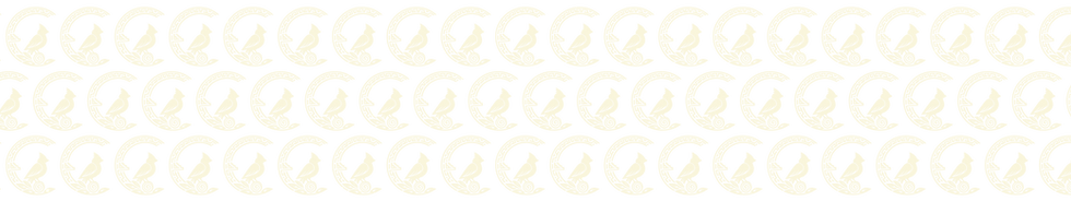 website background_Artboard 4.png