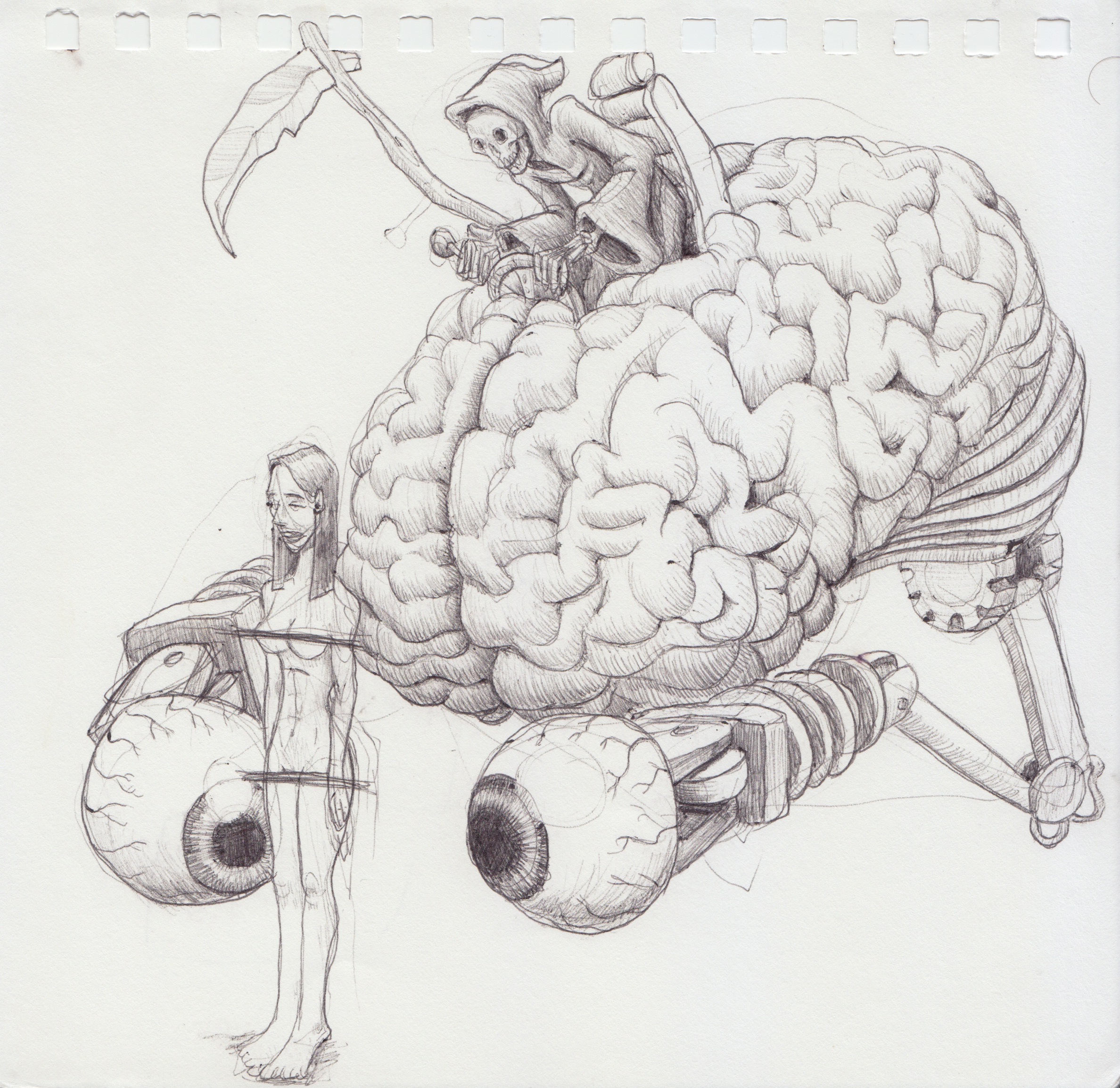 Scan 7