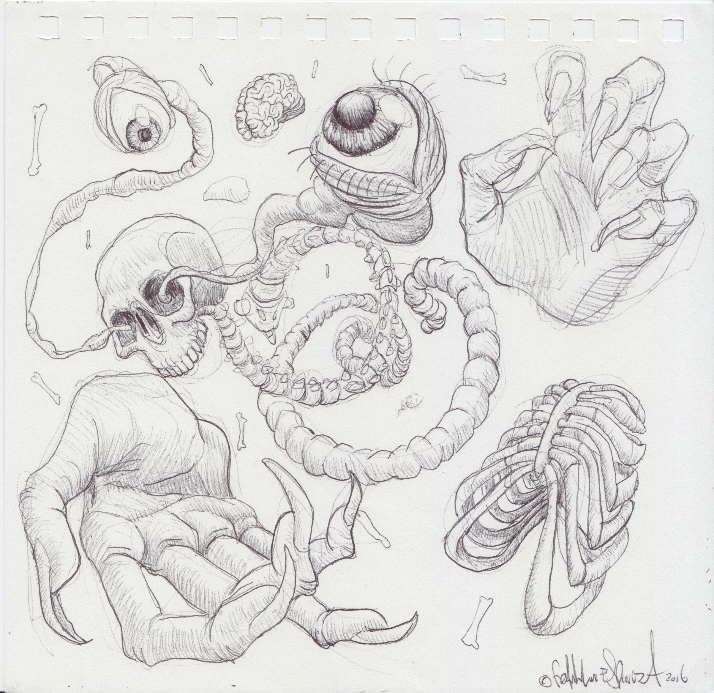 Scan 42