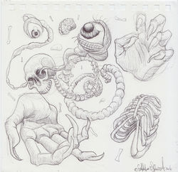 Scan 42