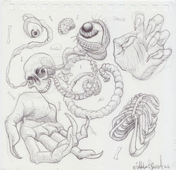 Scan 42