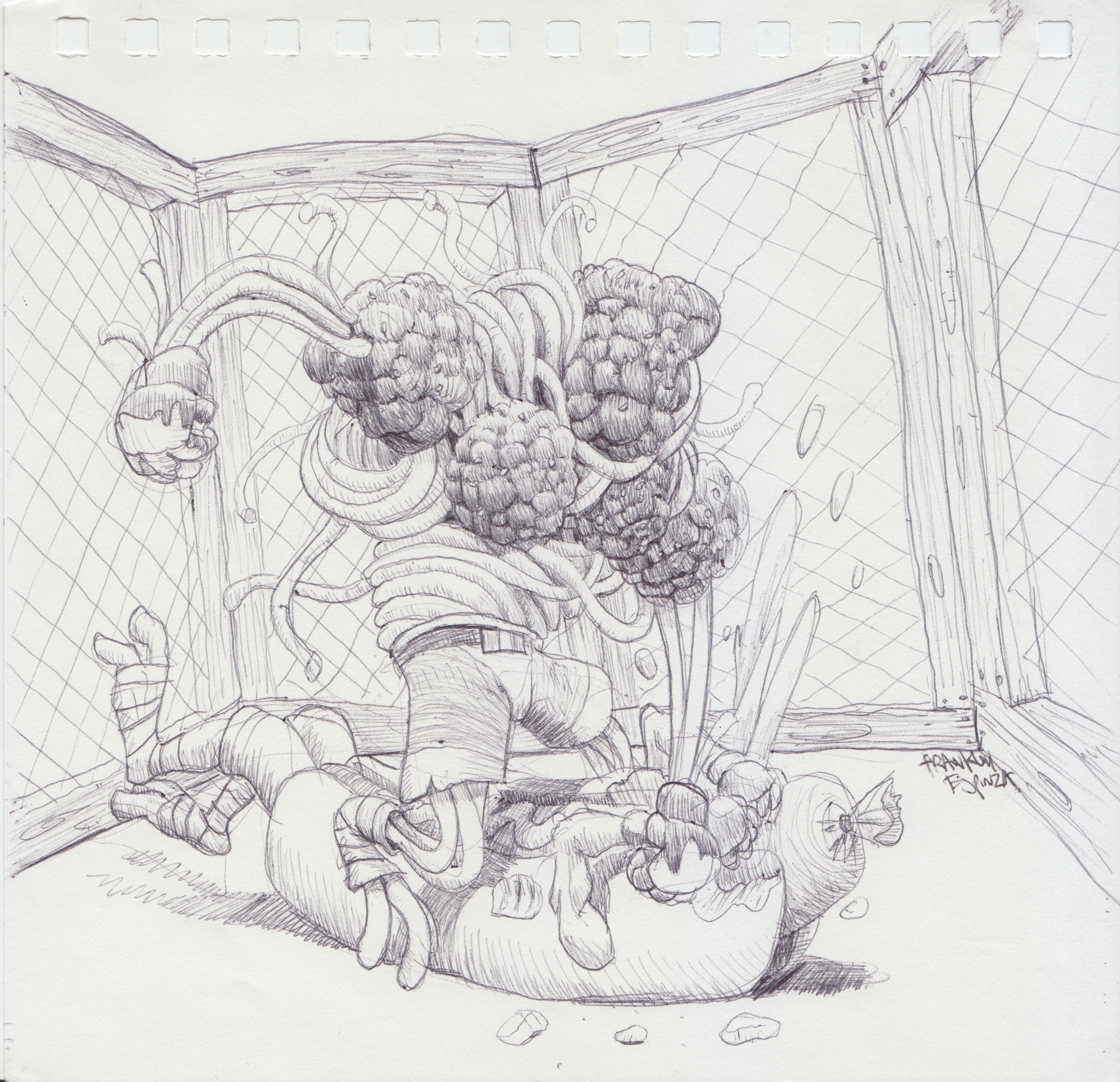 Scan 14