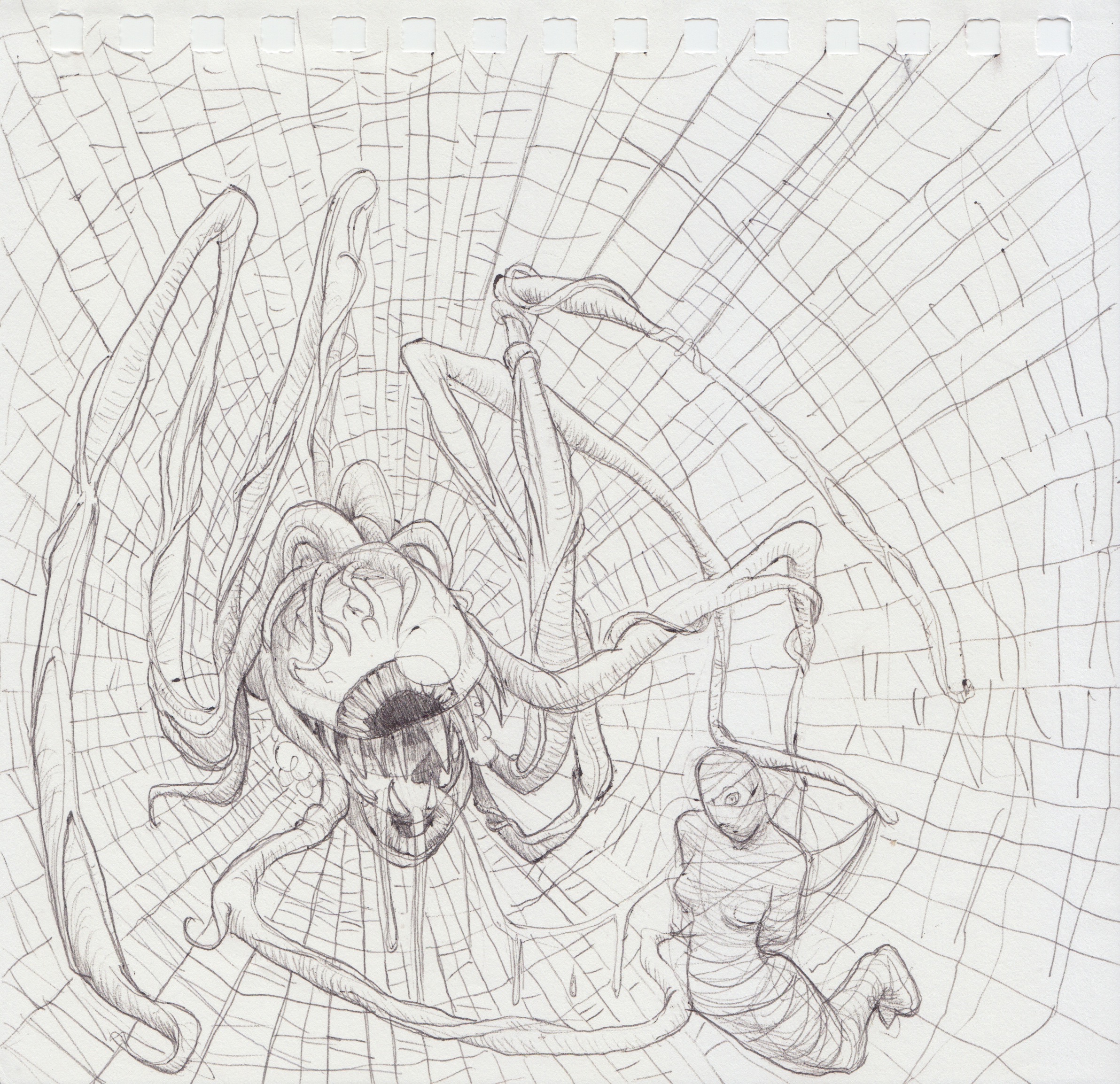 Scan 6