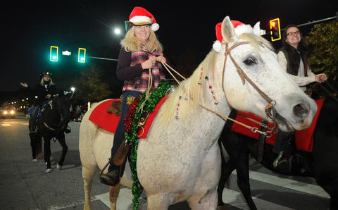 horse drawn carriage