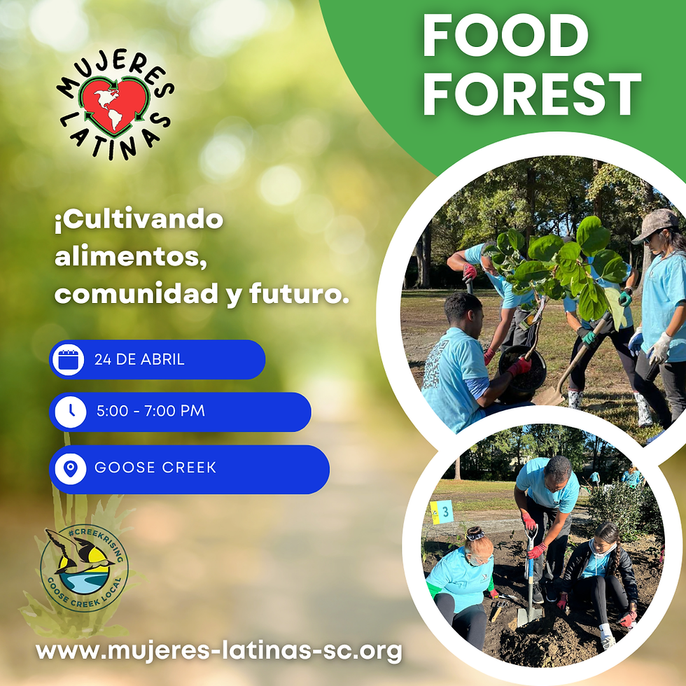 Sembrando hoy, alimentando el mañana.