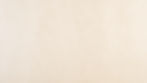 shutterstock_1927874948.jpg