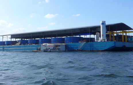 The role of Marine Aquaculture in Singapore’s Food Security