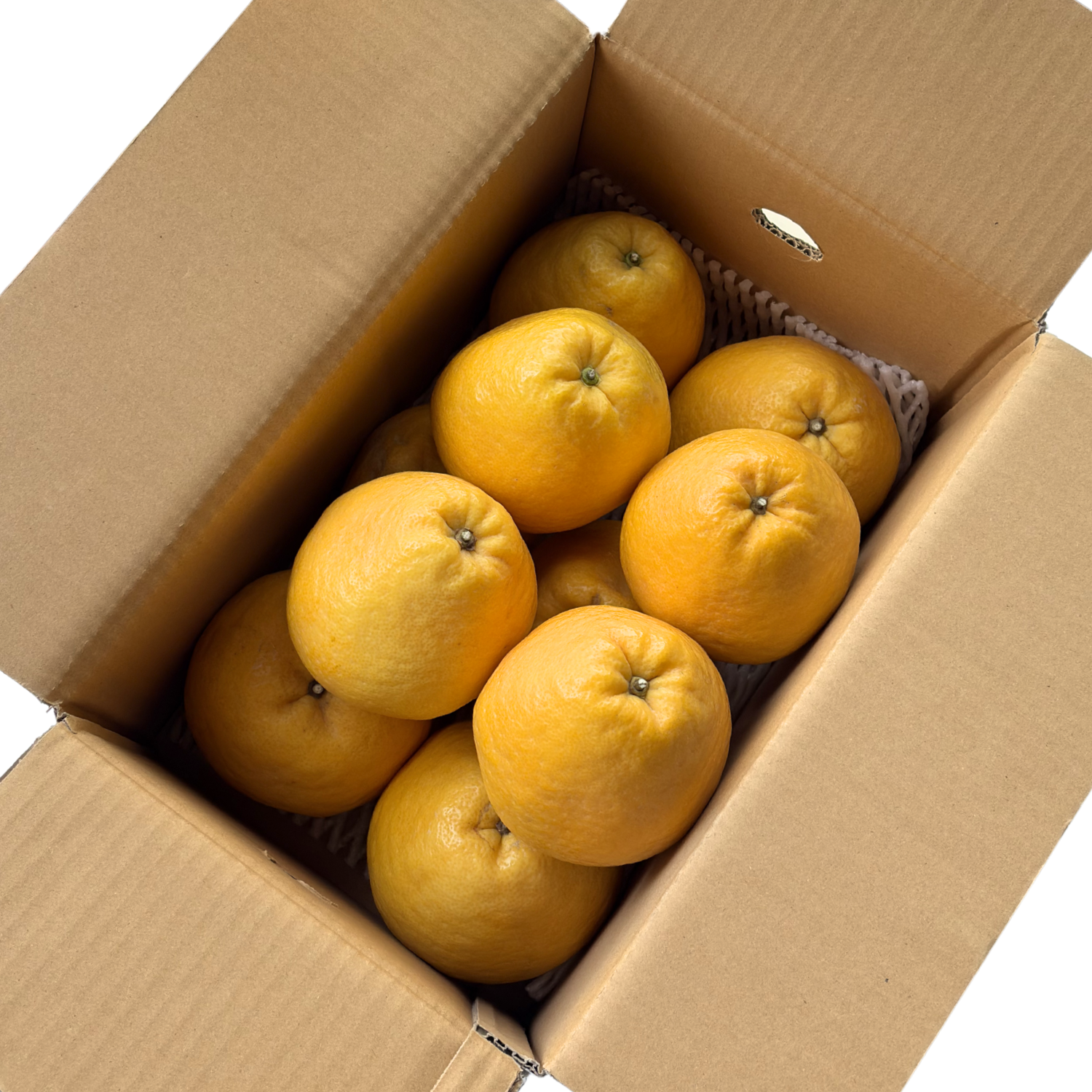 【送料無料】 和製グレープフルーツ!河内晩柑 5kg