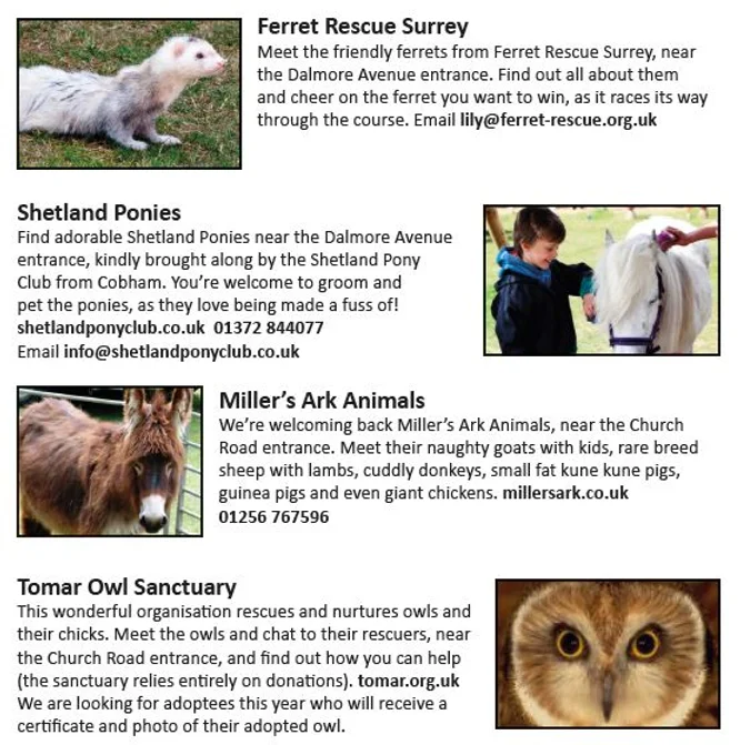 Animals 1_JPG.webp