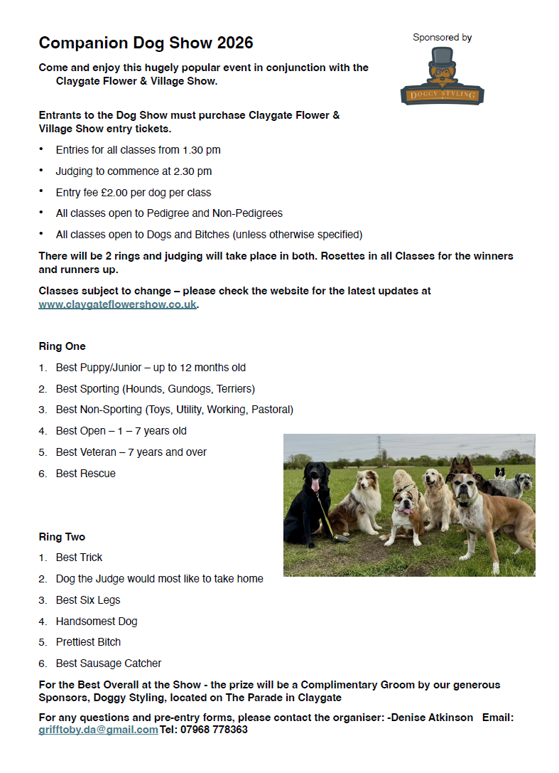 dog-show.png
