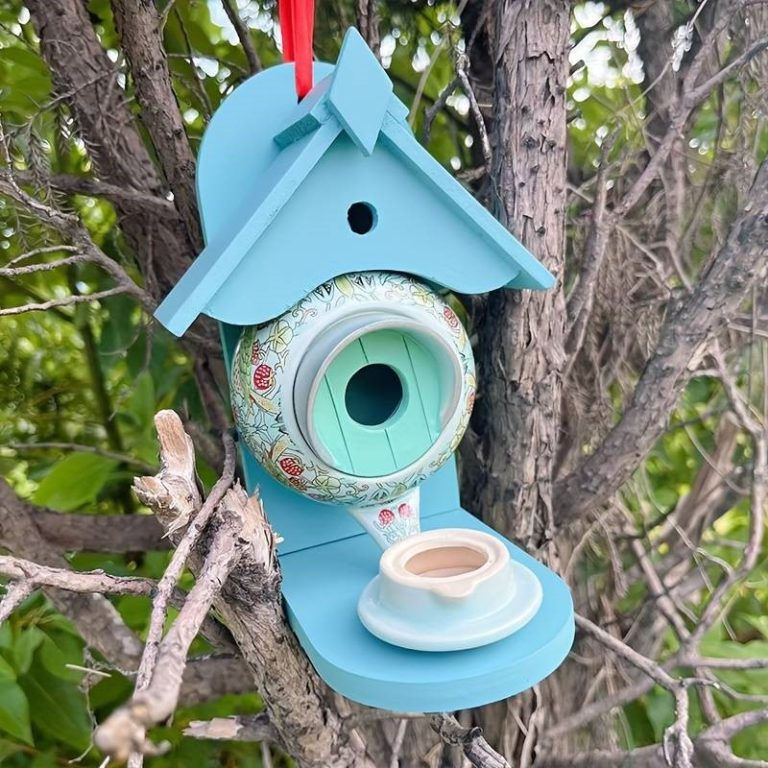Tea Pot Feeder £20