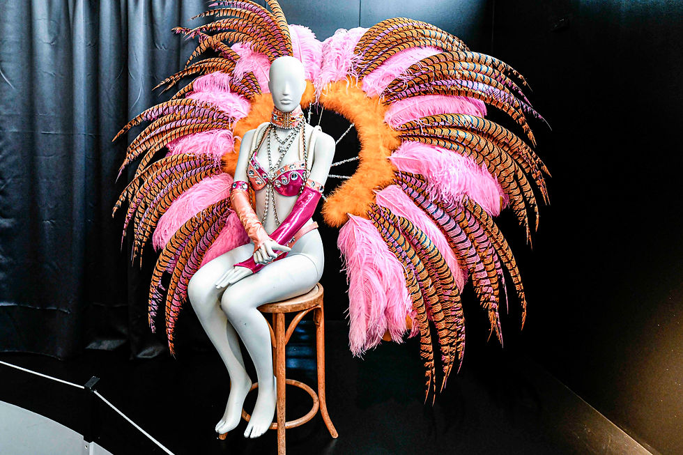 Focus costume exposition "Cabaret, Habiller le rêve"
