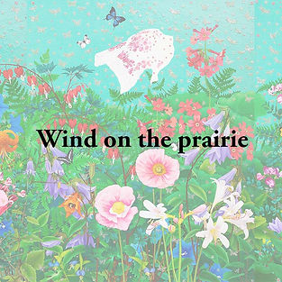 Wind on the prairie.jpg