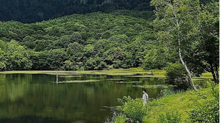 A person standing by the water in the woods.