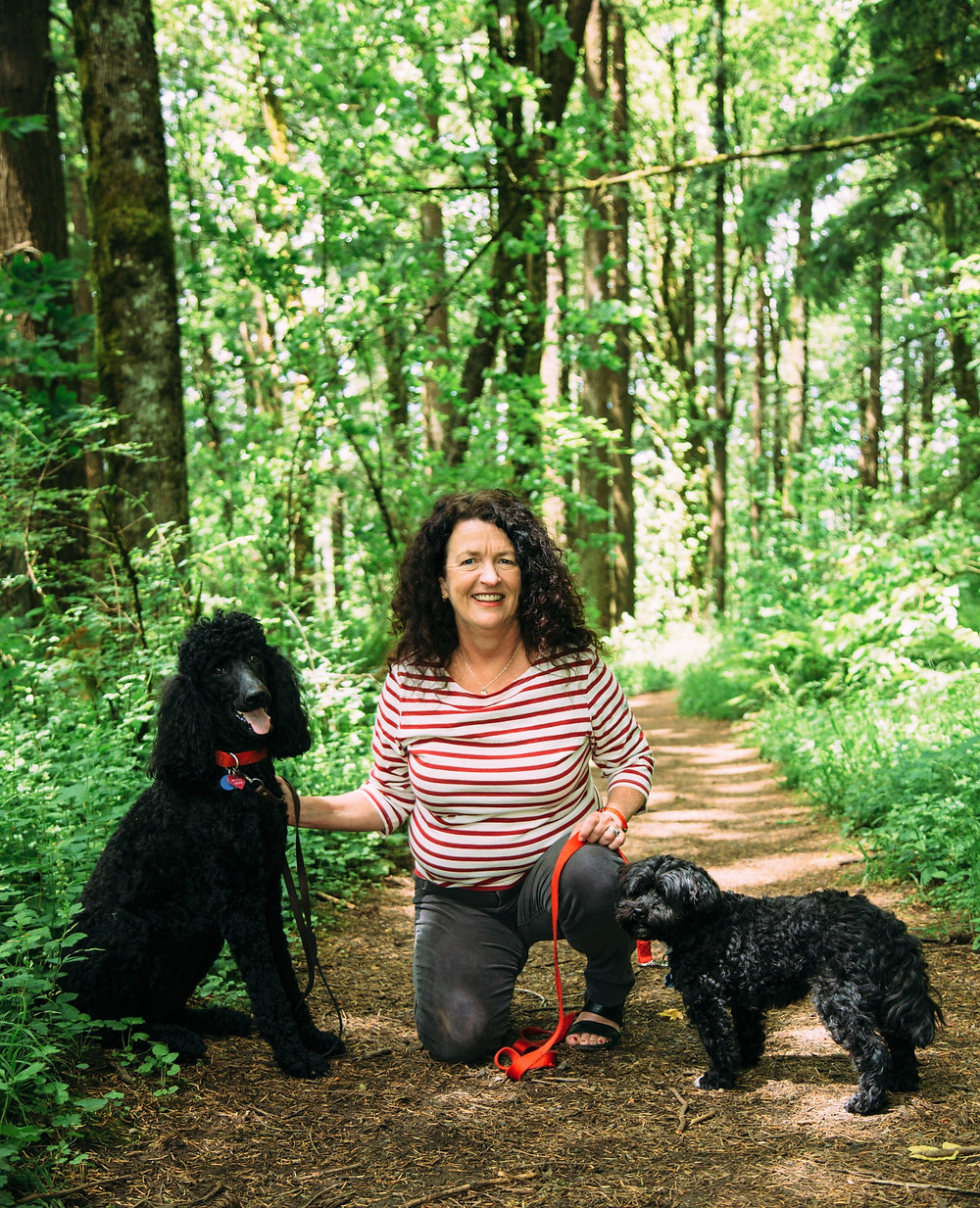 Kate and her two dogs are on the forest trail