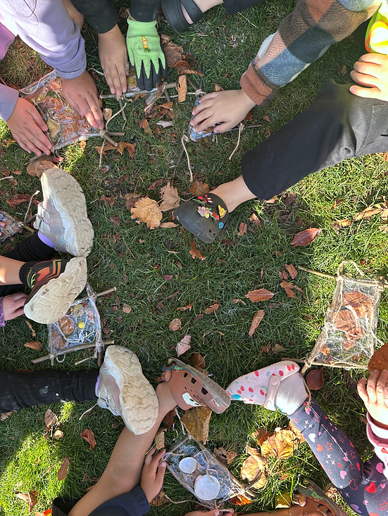Dunedin Bioblitz_The Sustainable School 1.HEIC
