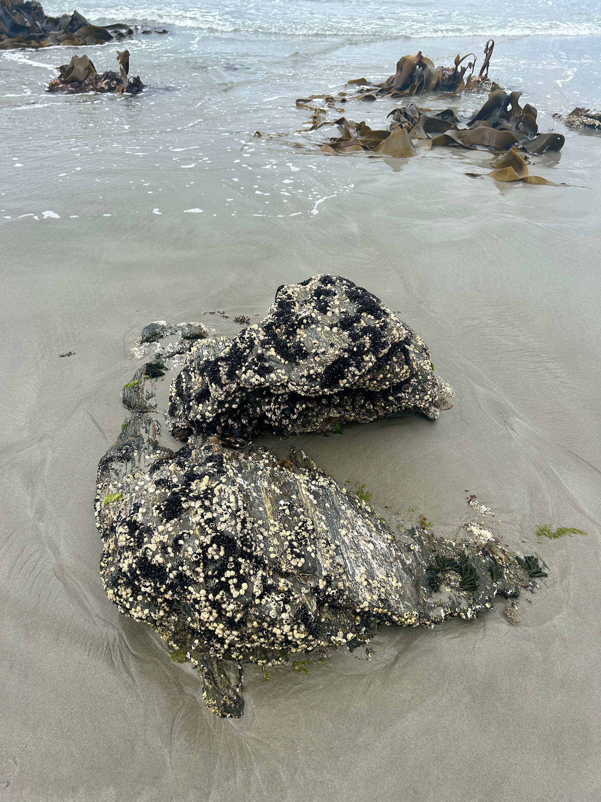 Rock at seashore
