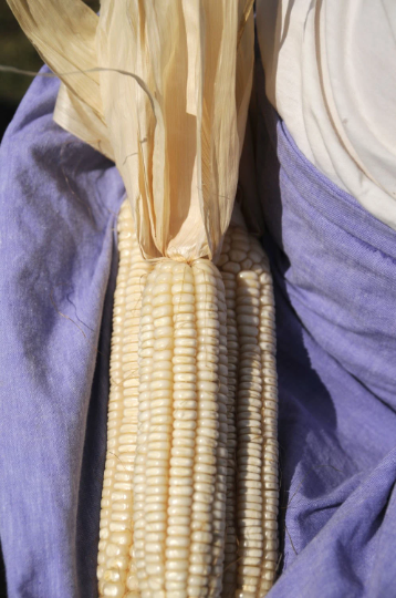 Thumbnail: GRITS - Hickory King 1.5lb Bag