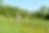 Screenshot 2025-06-13 at 12.17.28.png