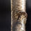 Thumbnail: Black Birch