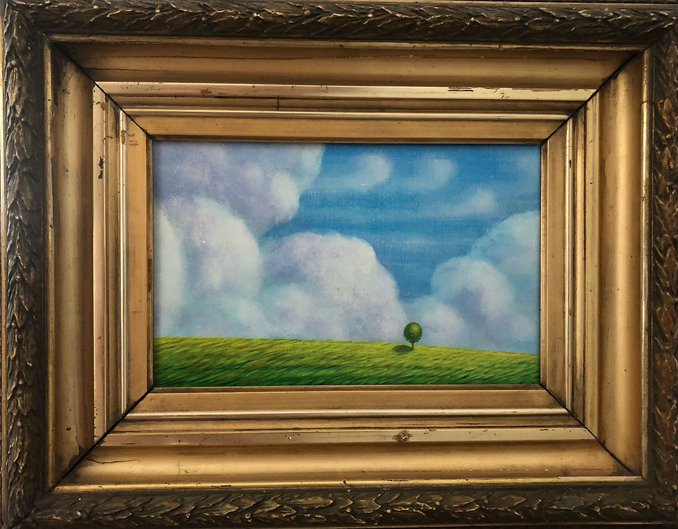 Single Tree In The Wind