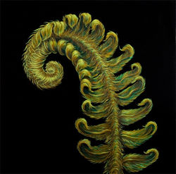 Fern oil on panel 24 x 24
