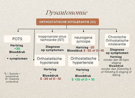 orhtostatische intolerantie vormen.png