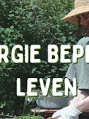 Leren leven met minder energie #0