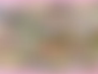 プログラミングドローン