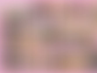 みそパーク