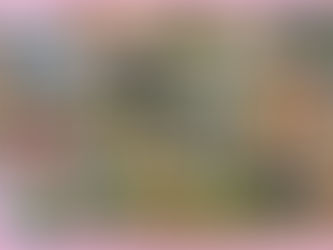ヤナ体験
