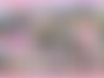 芋ほり