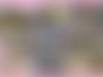 デンパーク