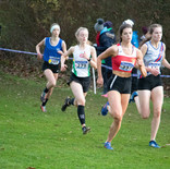 IMG_5531.jpg