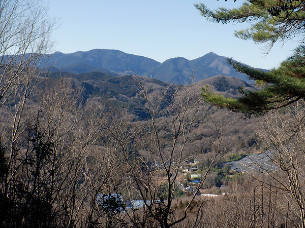 20240110_明覚から仙元山08.jpg