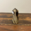 Thumbnail: Septarian - 2