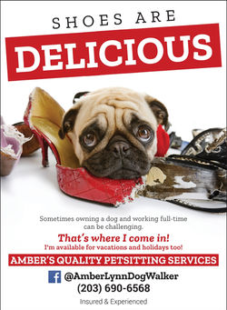 amber_s_quality_pet_sitting_services-125662_1_4pg_Jul2018_page_1