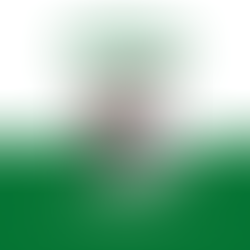 Viação Nossa Senhora de Lourdes lança novo site: mais moderno, rápido e feito para você