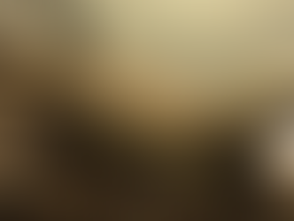 Babysitting a Bearded Dragon